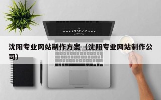 河南沈阳专业网站制作方案（沈阳专业网站制作公司）
